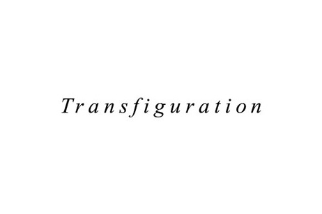 Logo Transfiguration